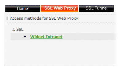 Choose Web Proxy Site