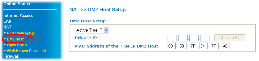 Setting a True DMZ Host