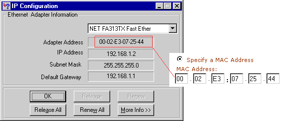 Using Winipcfg.exe to determine PC NIC's MAC address